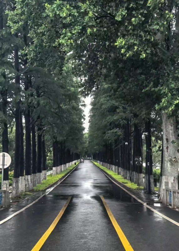 东湖落雁景区