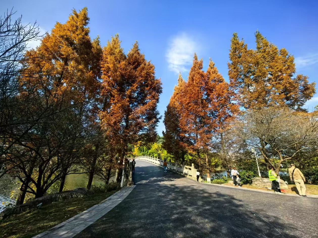 新蒲湿地公园