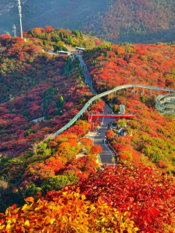 红叶柿岩景区