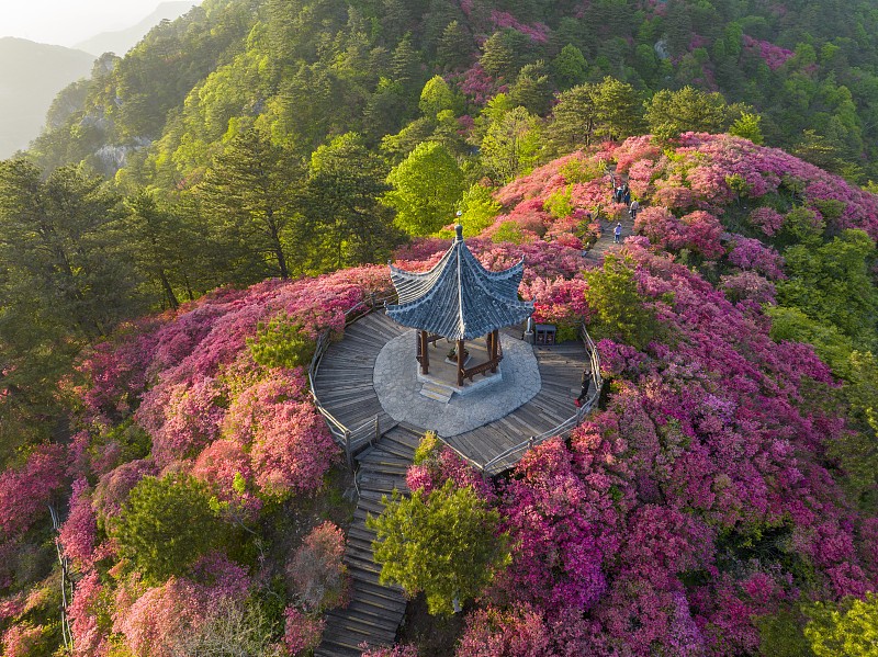 麻城市景区