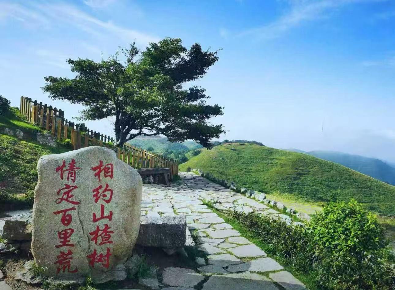 宜昌百里荒风景区
