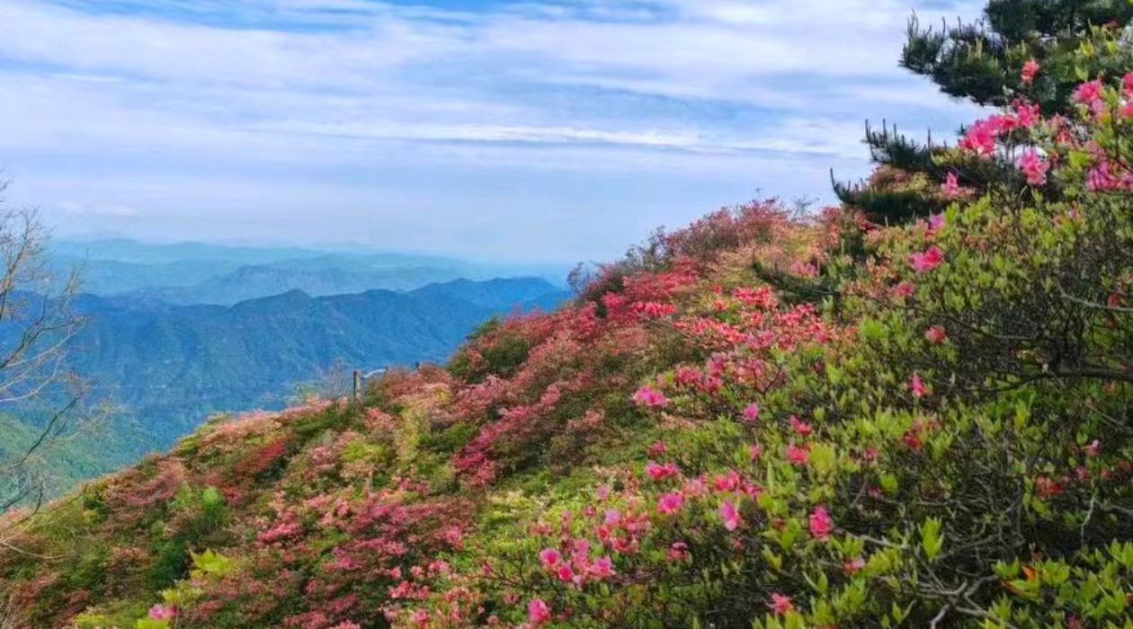 麻城龟峰山