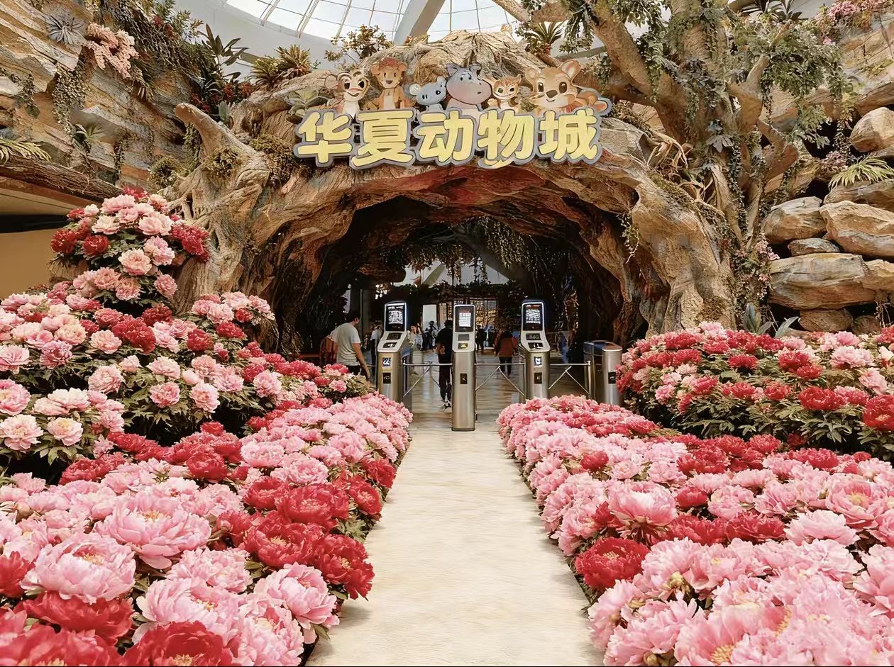 华夏动物城