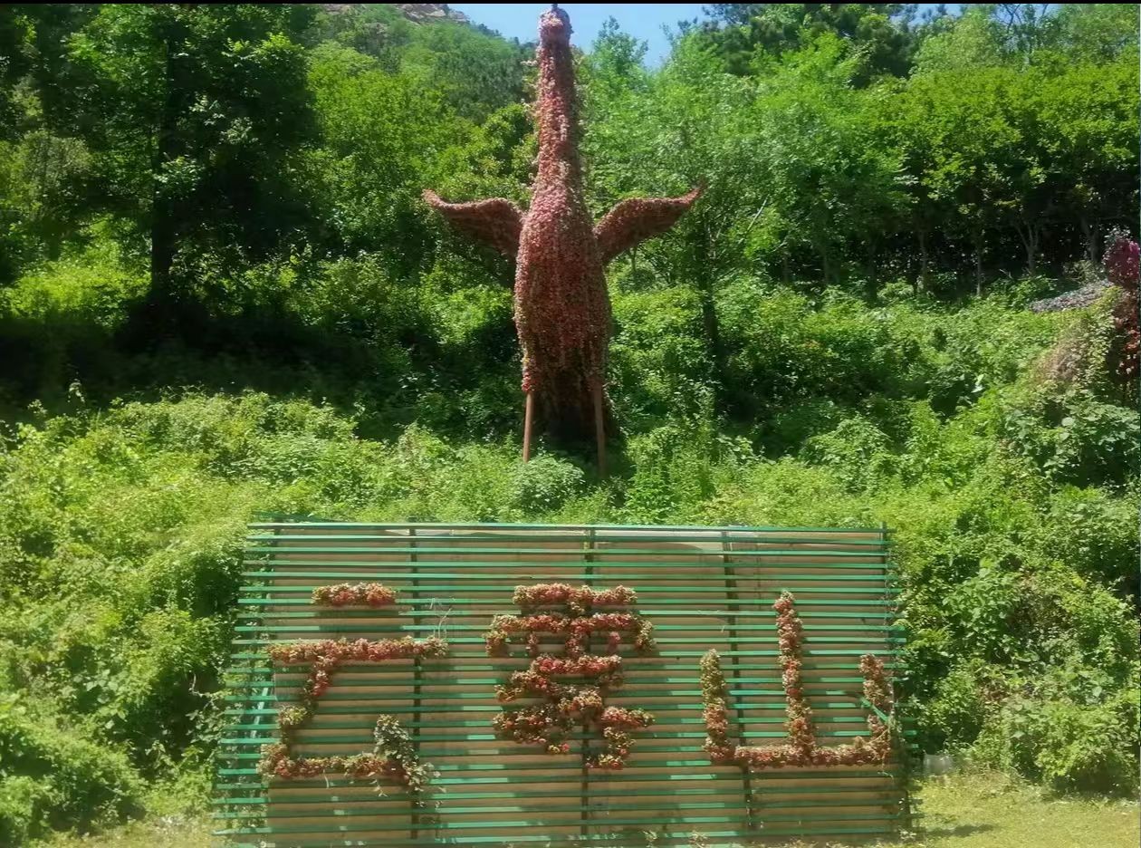 木兰云雾山亲子2大1小票+上行观光车票+陂西峡漂流票