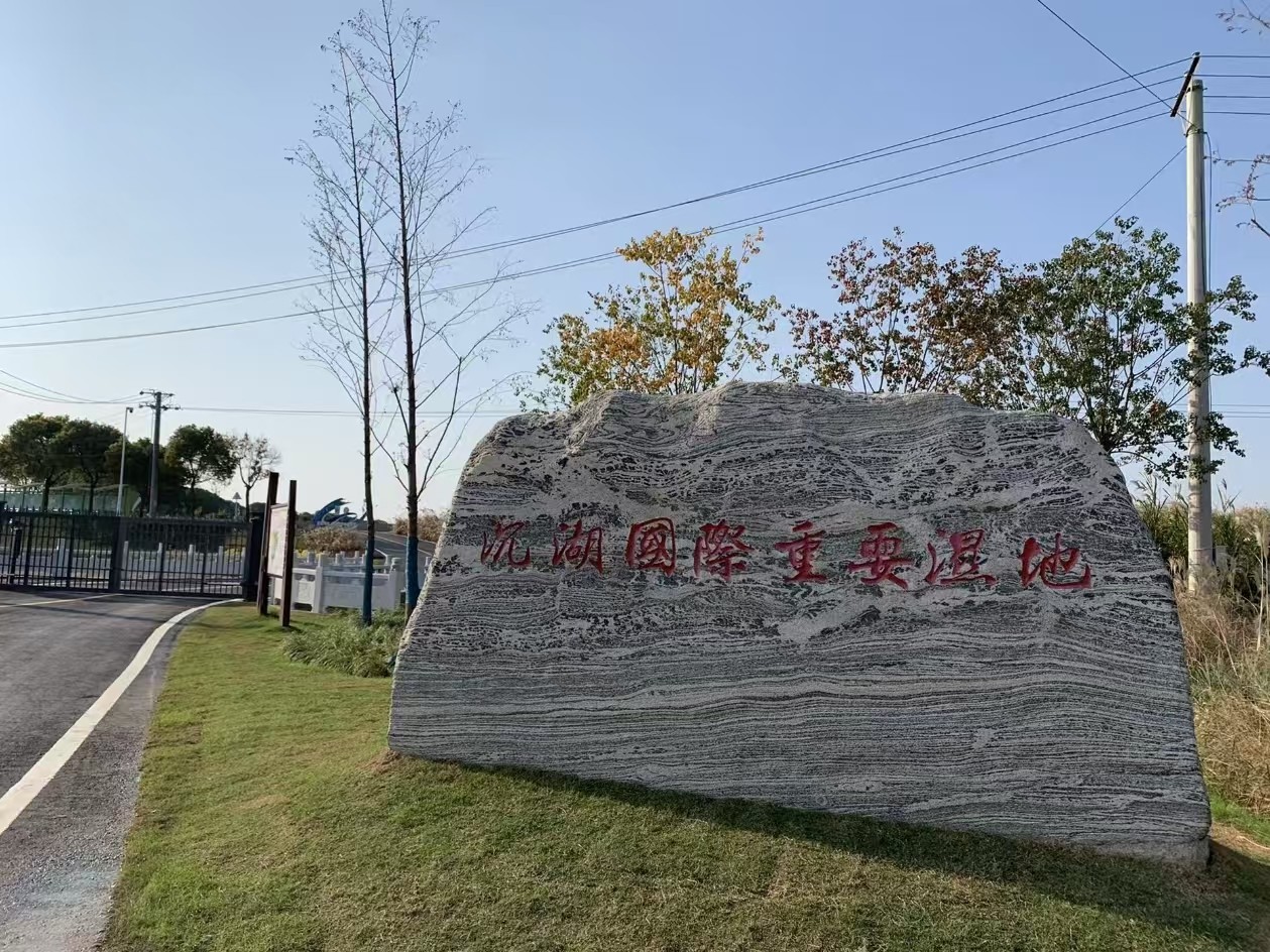 沉湖湿地