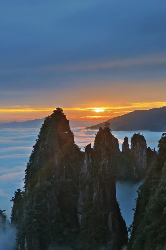 莽山五指峰儿童票